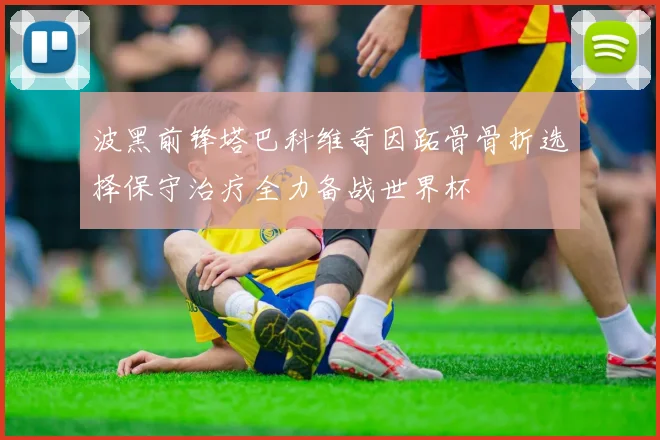 波黑前锋塔巴科维奇因跖骨骨折选择保守治疗全力备战世界杯