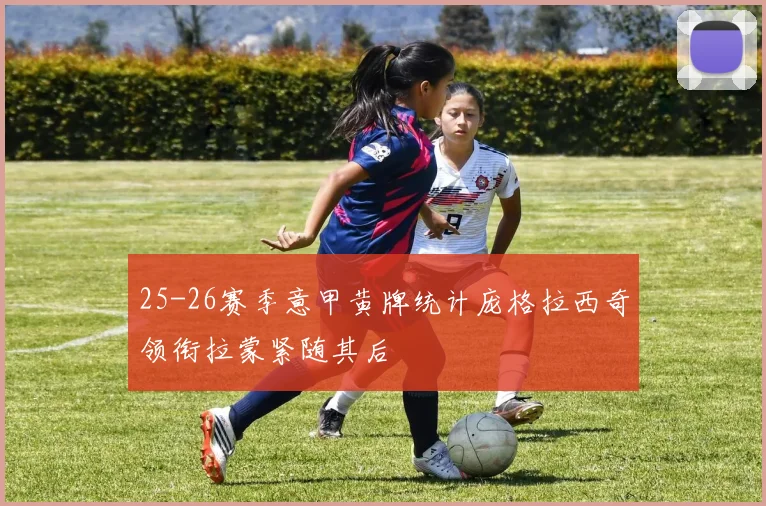 25-26赛季意甲黄牌统计庞格拉西奇领衔拉蒙紧随其后