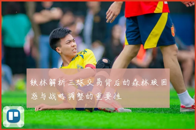 铁林解析三球交易背后的森林狼困惑与战略调整的重要性